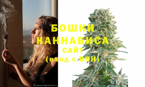 дурь Балахна